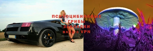 крисы Пролетарск